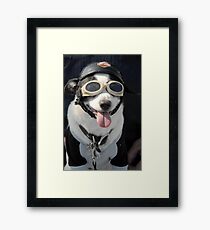 Biker Dog Framed Print
