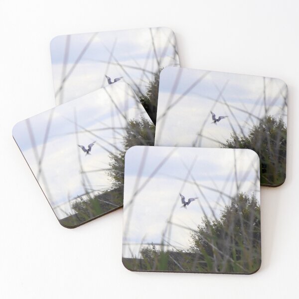 Item preview, Seabirds designed and sold by BritishYank.