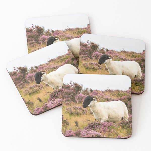 Item preview, Oveja Swaledale en brezo designed and sold by Jane Stanley Photography.