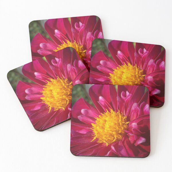 Item preview, Close up of a Pink Collarette Dahlia Flower with Orange Disc Floret 045 designed and sold by Bees-n-Flowers.