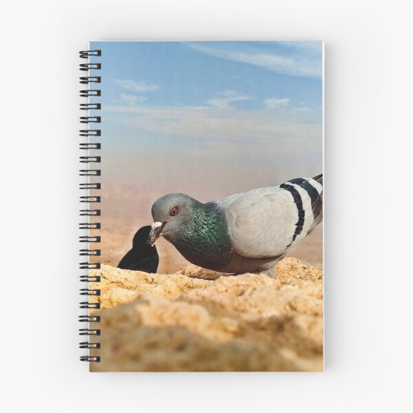 Item preview, Birds Of Masada designed and sold by doodle3Dandy.