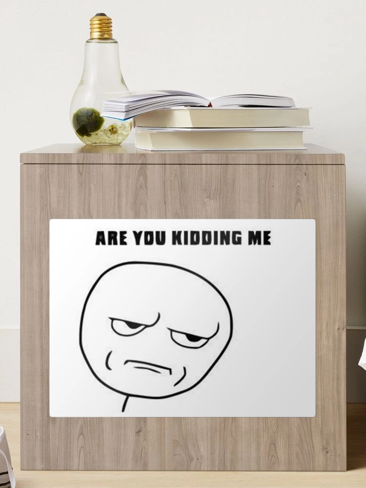 Are You Kidding Me Meme