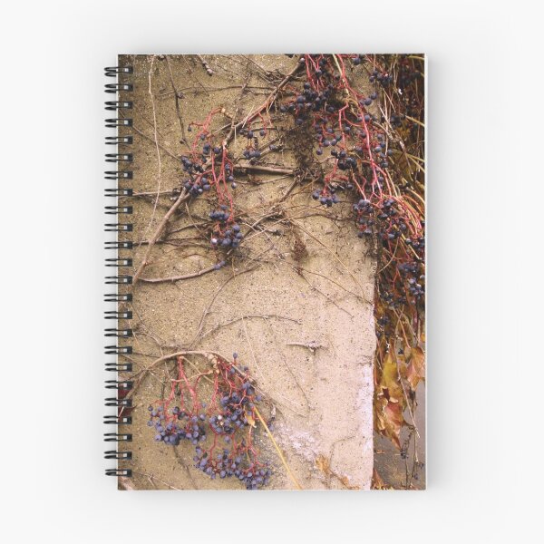Item preview, Grapevines designed and sold by J Rier Photography.