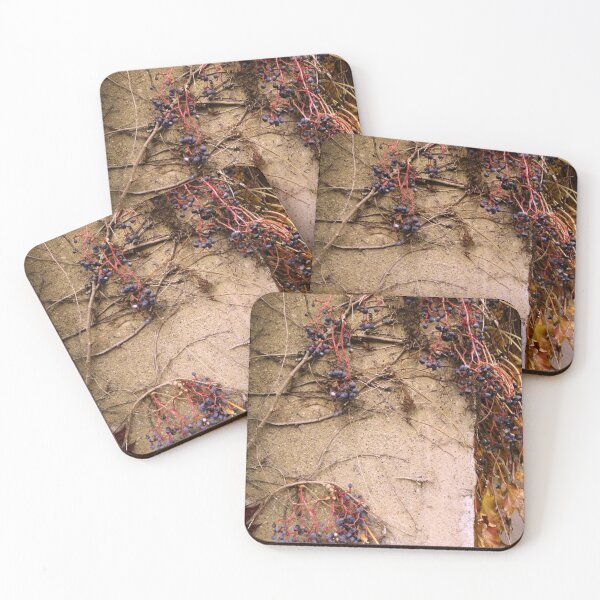 Item preview, Grapevines designed and sold by J Rier Photography.