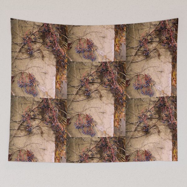 Item preview, Grapevines designed and sold by J Rier Photography.