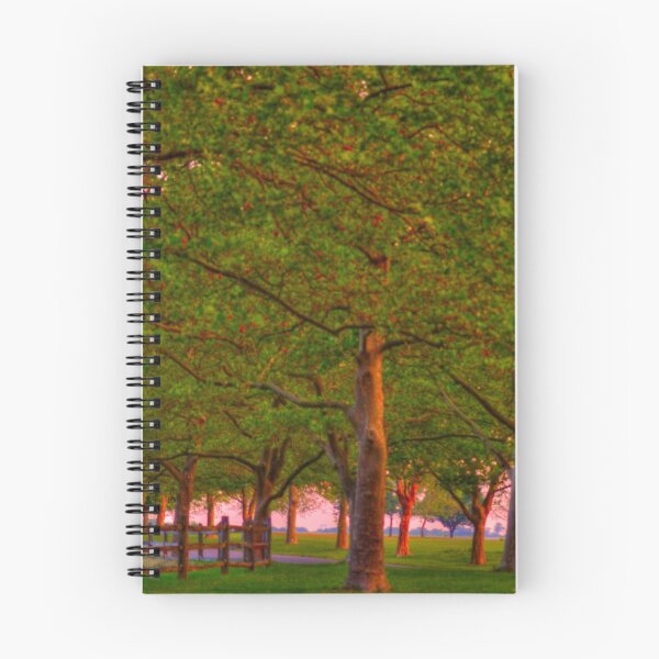 Item preview, Seabrook Road Treeline at Dawn designed and sold by Kim McClain Gregal.