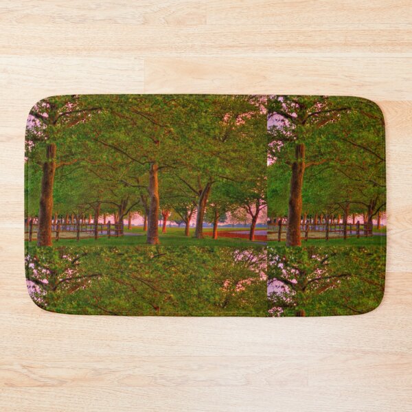 Item preview, Seabrook Road Treeline at Dawn designed and sold by Kim McClain Gregal.