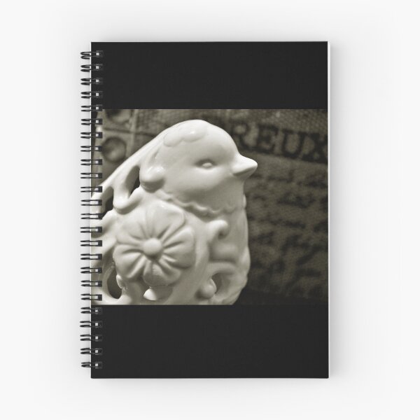 Item preview, Ceramic Bird and Jewelry Box (Sepia) designed and sold by ZiffyPhotos.