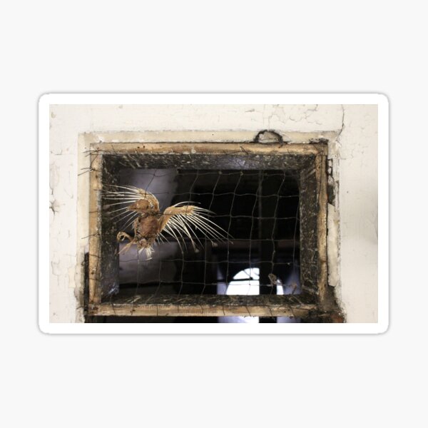 The Flight of Death Sticker