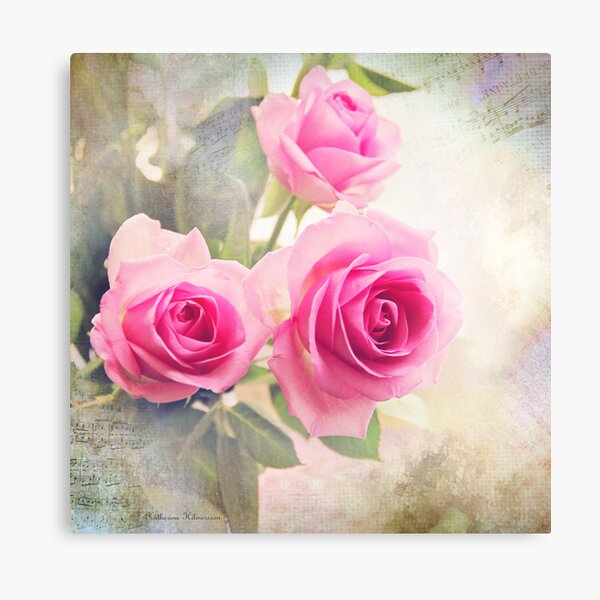 Three roses Canvas Print