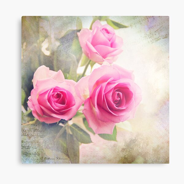 Three roses Metal Print
