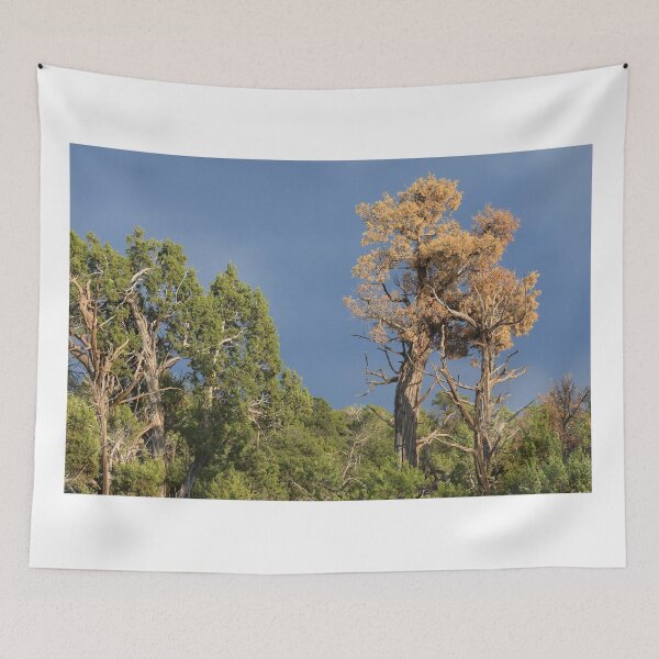 Item preview, Storm in Mesa Verde designed and sold by zumi.