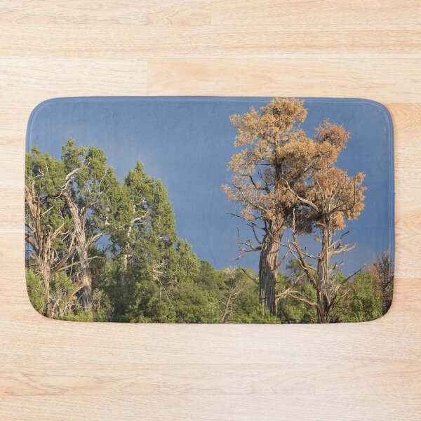 Item preview, Storm in Mesa Verde designed and sold by zumi.