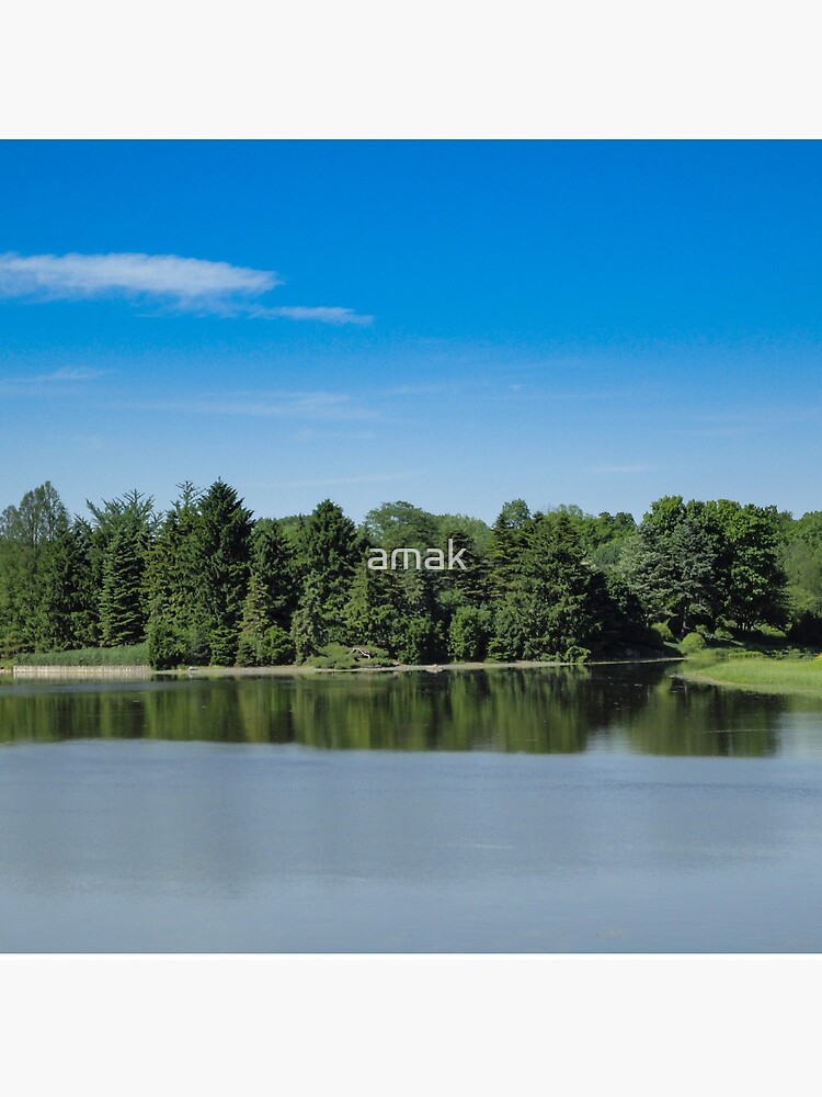 Green&Blue by amak