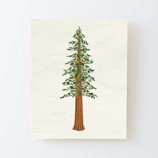 Original Ink, Redwood Tree, Large Wall Artwork. Black and White, Fine Line  Ink Drawing. Tall Sequoia. Botanical Illustration. - Etsy Australia