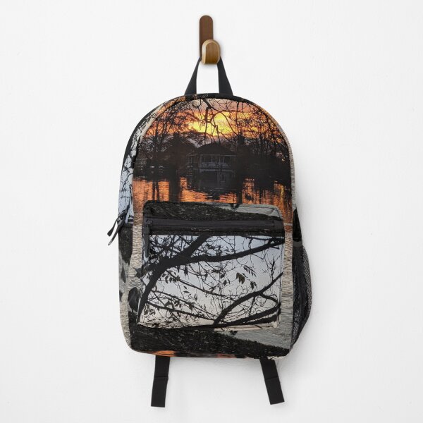 Item preview, Worcester sunset and swans designed and sold by PG Illustration.