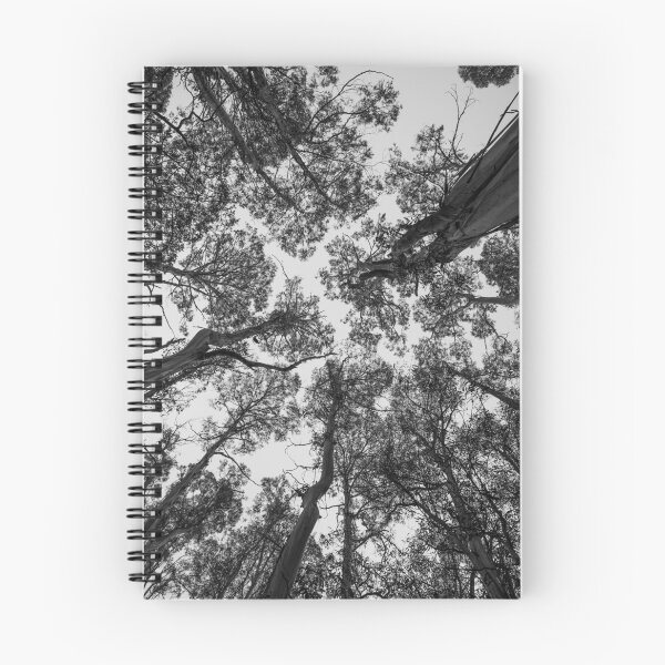 Item preview, Tree Tops designed and sold by Kylie Kassan.