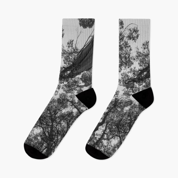 Item preview, Tree Tops designed and sold by Kylie Kassan.