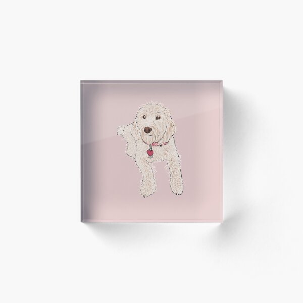 Labradoodle Illustration Acrylic Block