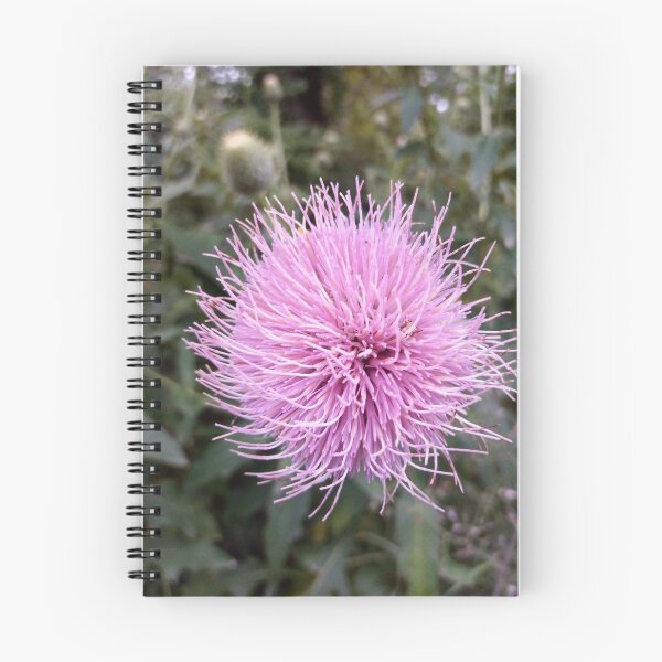 Item preview, Purple Thistle flower designed and sold by GreyRound.