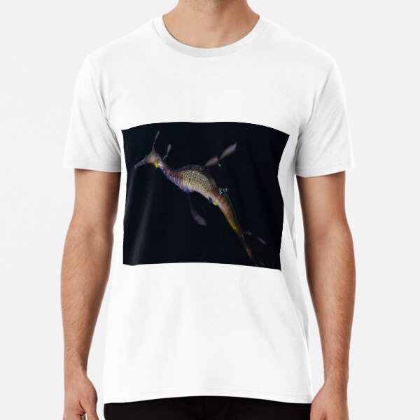 Weedy Seadragon Premium T-Shirt