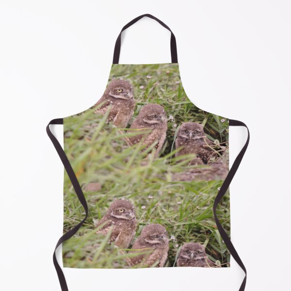 Item preview, Trio of Baby Burrowing Owls, As Is designed and sold by Kim McClain Gregal.