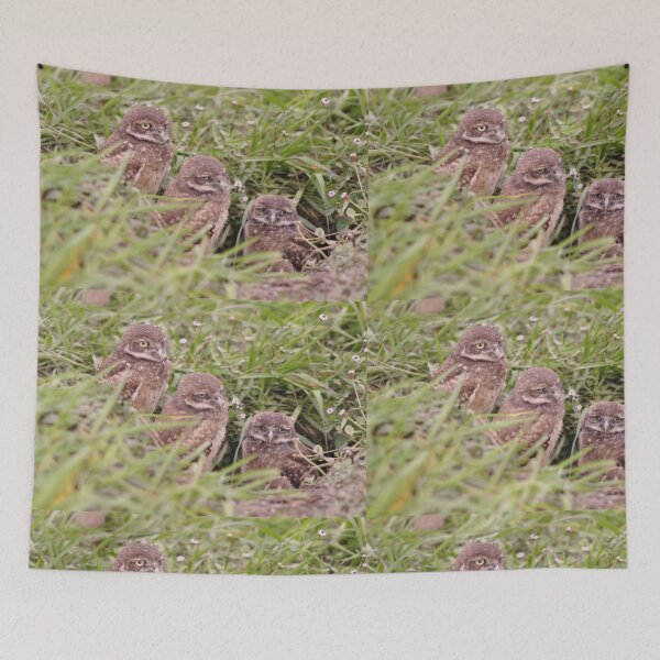 Item preview, Trio of Baby Burrowing Owls, As Is designed and sold by Kim McClain Gregal.
