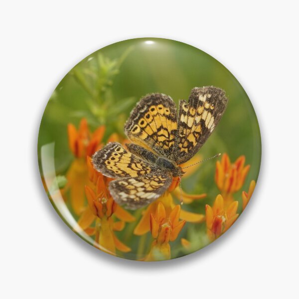 Artikelvorschau, Kleine orange Schönheit - Perle Halbmond Schmetterling entworfen und verkauft von acwb.