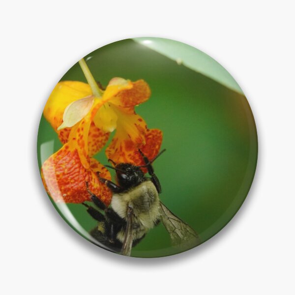 Item preview, Bumblebee beauty designed and sold by acwb.
