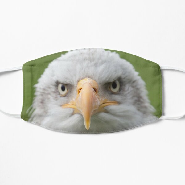 Eagle Costume Hood Accessory