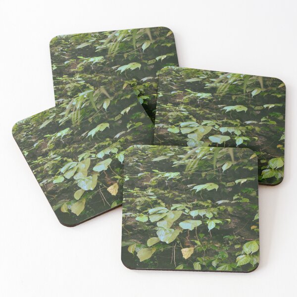 Item preview, Tropical rainforest summer view designed and sold by Mariolangstieh.
