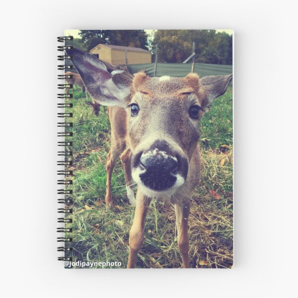 Item preview, Curious baby deer designed and sold by jodi payne.