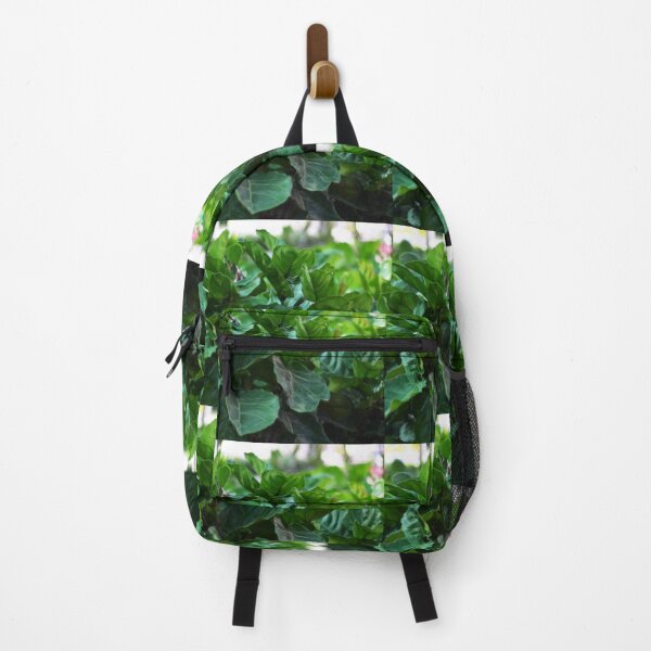 Item preview, Ficus Lyrata aka fiddle-leaf fig designed and sold by Asiantiger247.