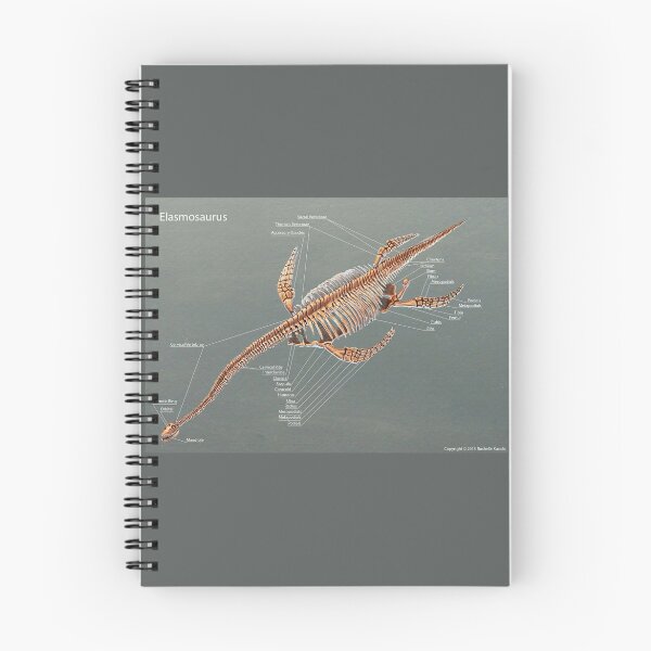 Item preview, Elasmosaurus Skeleton Study designed and sold by Thedragonofdoom.