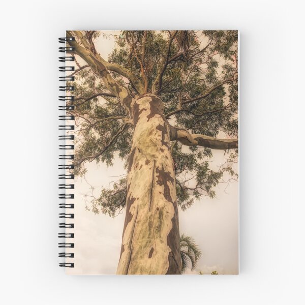 Item preview, Patterns in Bark designed and sold by Marylou Badeaux.