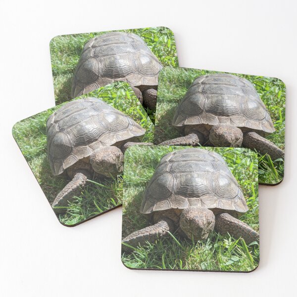 Item preview, Gopher Tortoise designed and sold by naturegirf.