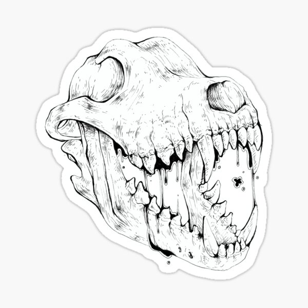 How to draw Wolf Skull - YouTube