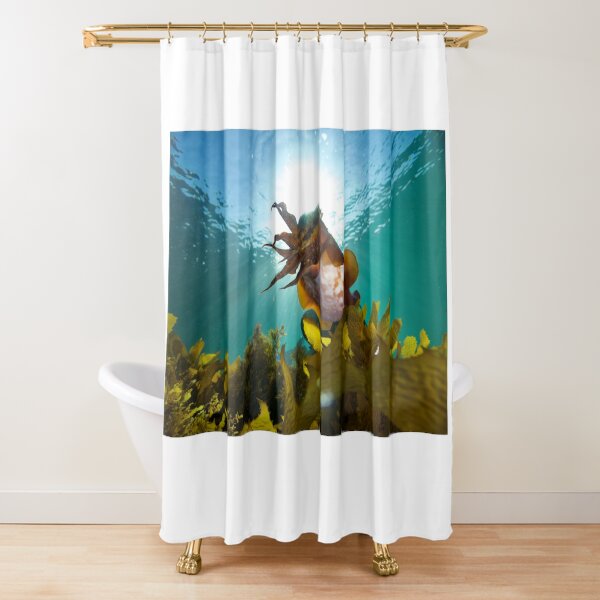 Sun Burst Shower Curtain