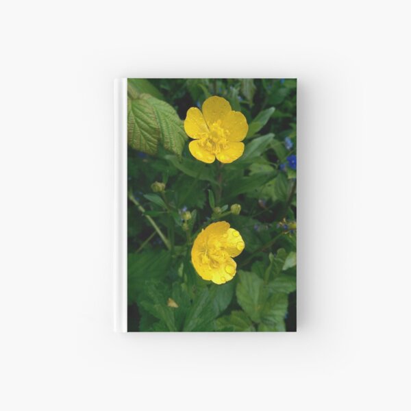 Buttercups Hardcover Journal
