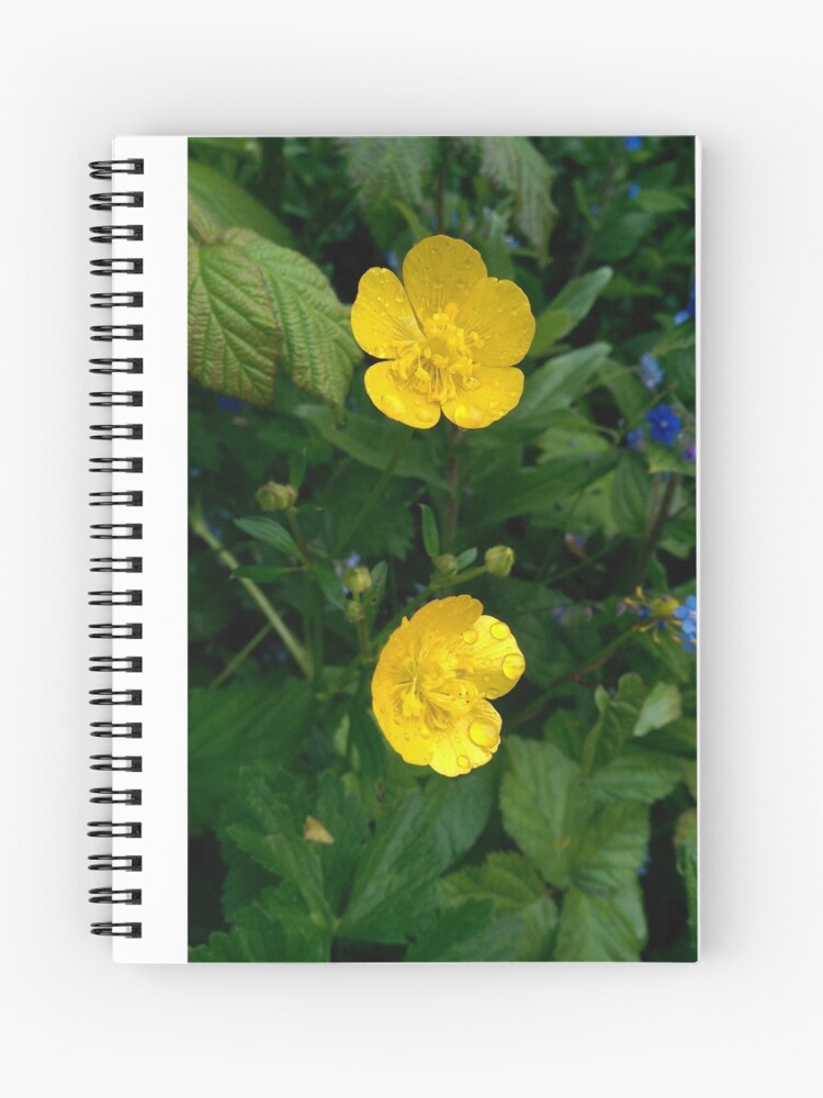 Thumbnail 1 of 3, Spiral Notebook, Buttercups designed and sold by TLBcanvasART.