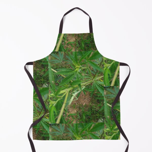 Item preview, Mantis upon high designed and sold by StarTreader.