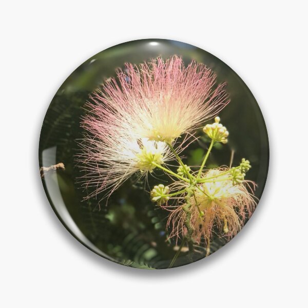 Item preview, Mimosa Tree designed and sold by BaileyBirdDog.