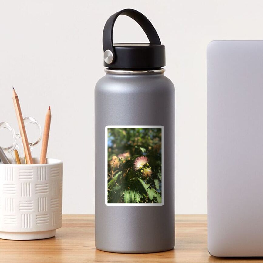 Mimosa Tree Sticker