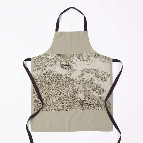 Item preview, patterns of crabs designed and sold by Anne Scantlebury.