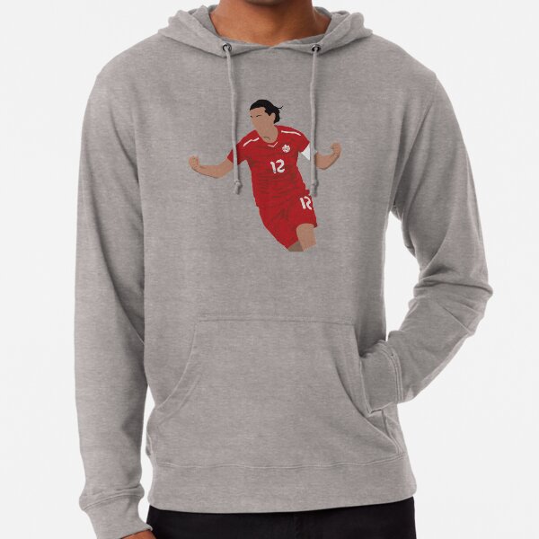 Jordan 12 hoodie online