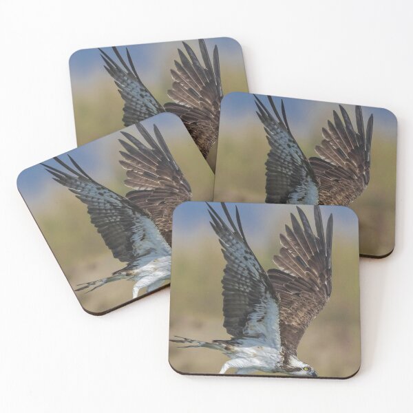 Item preview, EAGLE  PRINT designed and sold by Hotandspice.