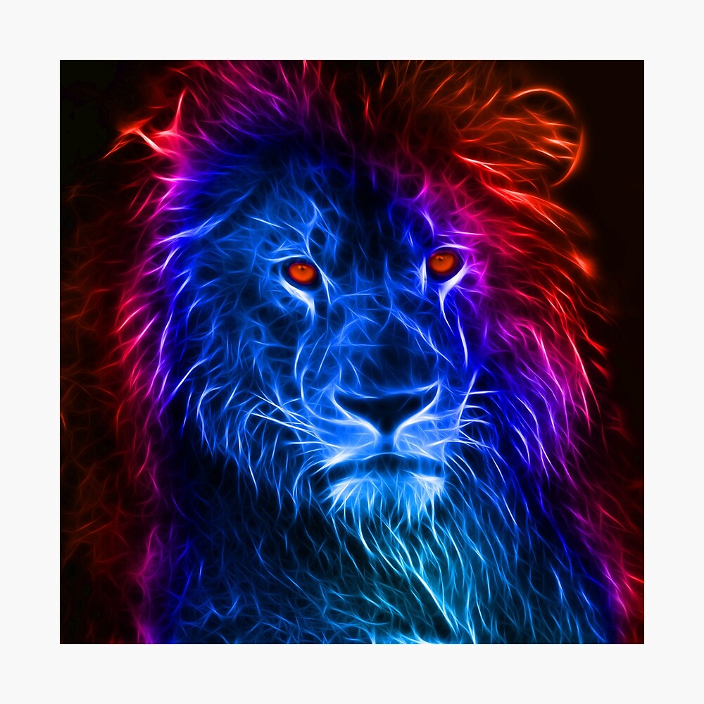 Lion Warrior Ice and Fire - Electric Blue Lion - Electric King Cat