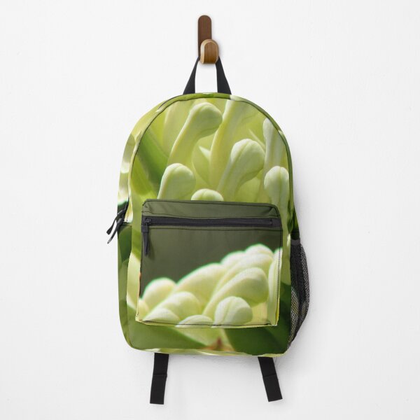 Item preview, White Waratah - Telopea speciosissima 'Wirrimbirra White' designed and sold by Marilyn Harris.