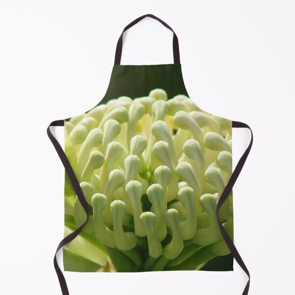 Item preview, White Waratah - Telopea speciosissima 'Wirrimbirra White' designed and sold by Marilyn Harris.