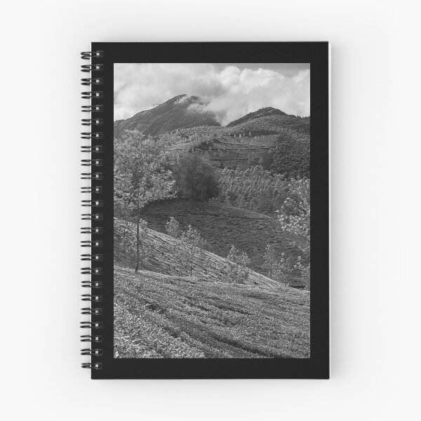 Item preview,  SKN 9117 Towards The Peak. B/W designed and sold by Sunil Kapadia.